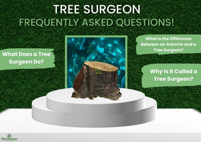 Tree Surgeon in 
